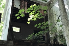 09032019-rotten-addition