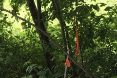 1_Survey-06262019-post-with-background-Beech-Ridge-Rd