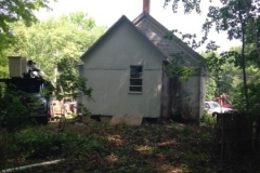 2019-07-09-After-the-Tree-Trimming-Joyce-Alden-IMG_2218