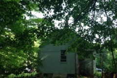 2019-07-09-Before-Tree-Trimming-Joyce-Alden-IMG_2198