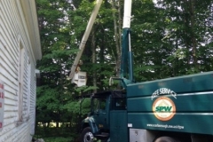 2019-07-09-Trimming-Trees-behing-the-School-Joyce-Alden-IMG_2206