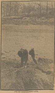 Clipping of Kilborn digging clams.