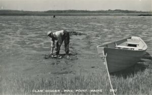 Photograph of clam diggers working on the tidal flats near Pine Point in Scarborough.